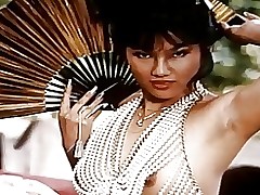 asian temptations 1984 vintage